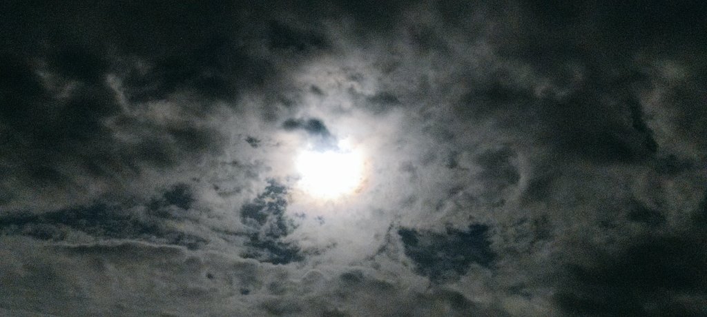 Vaana❤️ tweet media