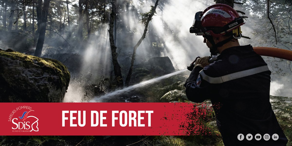 [#FeuDeForêt] 🔥
Feu en cours à #Fontainebleau - Secteur des Gorges de Franchard🌳 Merci de faciliter le passage des secours, évitez le secteur 🚒