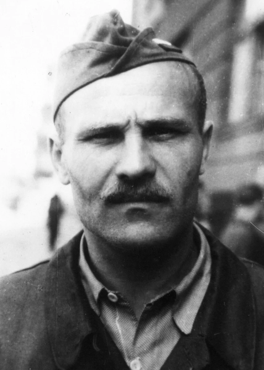 Zdjęcie