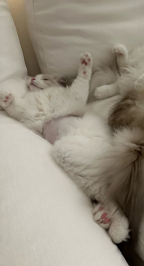 ผู้ชายเย็นชาคนนั้ล 

ลงเอง                                    แจมมี่แท็ก