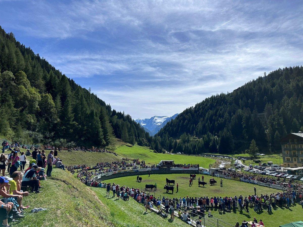AmisdesReines's tweet photo. @TgrRaiVdA @TgrRai Ecco i risultati di questa bellissima giornata di eliminatorie che si è tenuta a Valgrisenche.
Prossimo appuntamento domenica 10 settembre, a Saint-Barthelemy, comune di Nus.
Vi aspettiamo! https://t.co/Vk6aYHWXth