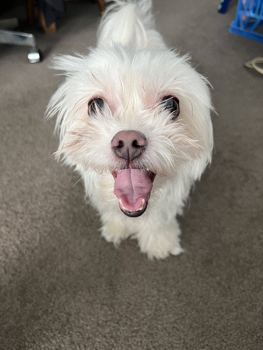 Live :) twitch.tv/rainbowbunny