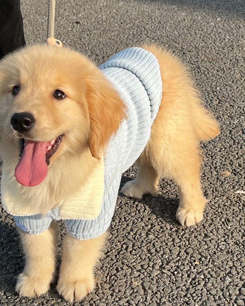 หวัดดีค้าบคนสวย