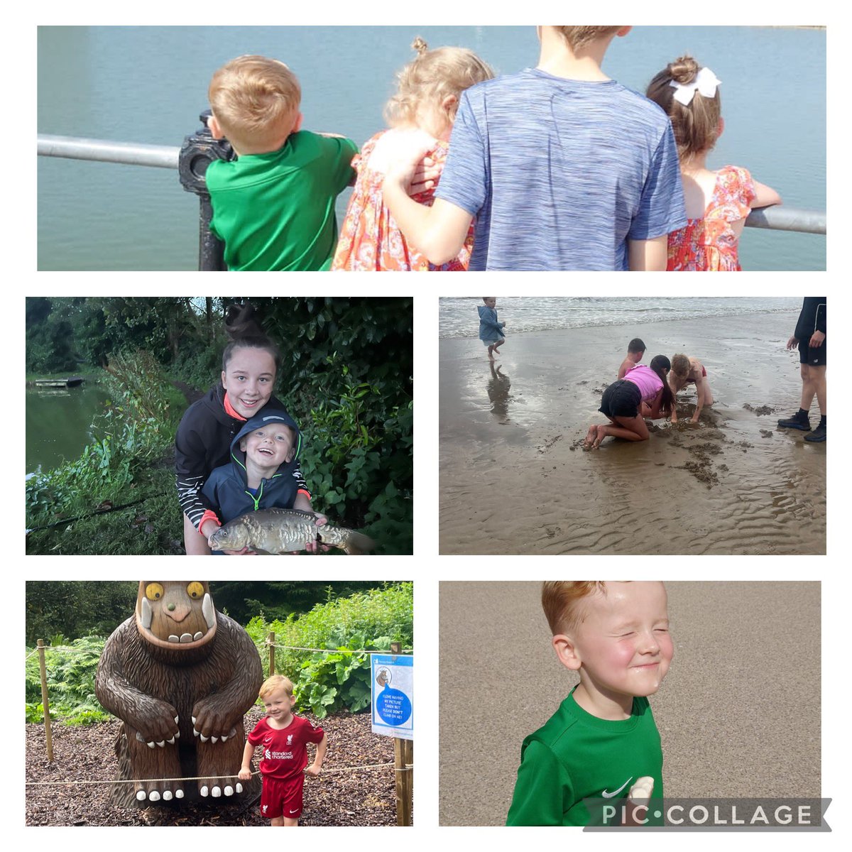 Nadine0786's tweet photo. Woody has enjoyed his summer at Blackpool, new Brighton, then visiting his cousin in Reftford. Fishing an eating lots of ice cream! @PCPSwans https://t.co/8mYQ4PThfA