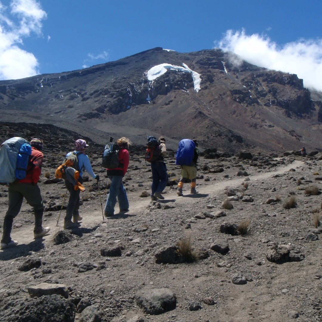 JerryTours's tweet photo. Panoramic views from the top and ice fields beneath the summit will make you choose the Machame route compared to others

visit @ https://t.co/Qc7Ffp9p5j 

Book now

Email: info@jerrytanzaniatours.com

Phone: +255 742 799 217

#Jerrytanzaniatours #Uhurupeak #macahmeroute https://t.co/nKR4aYSmUf