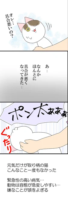 猫をかぶった猫 2/4 