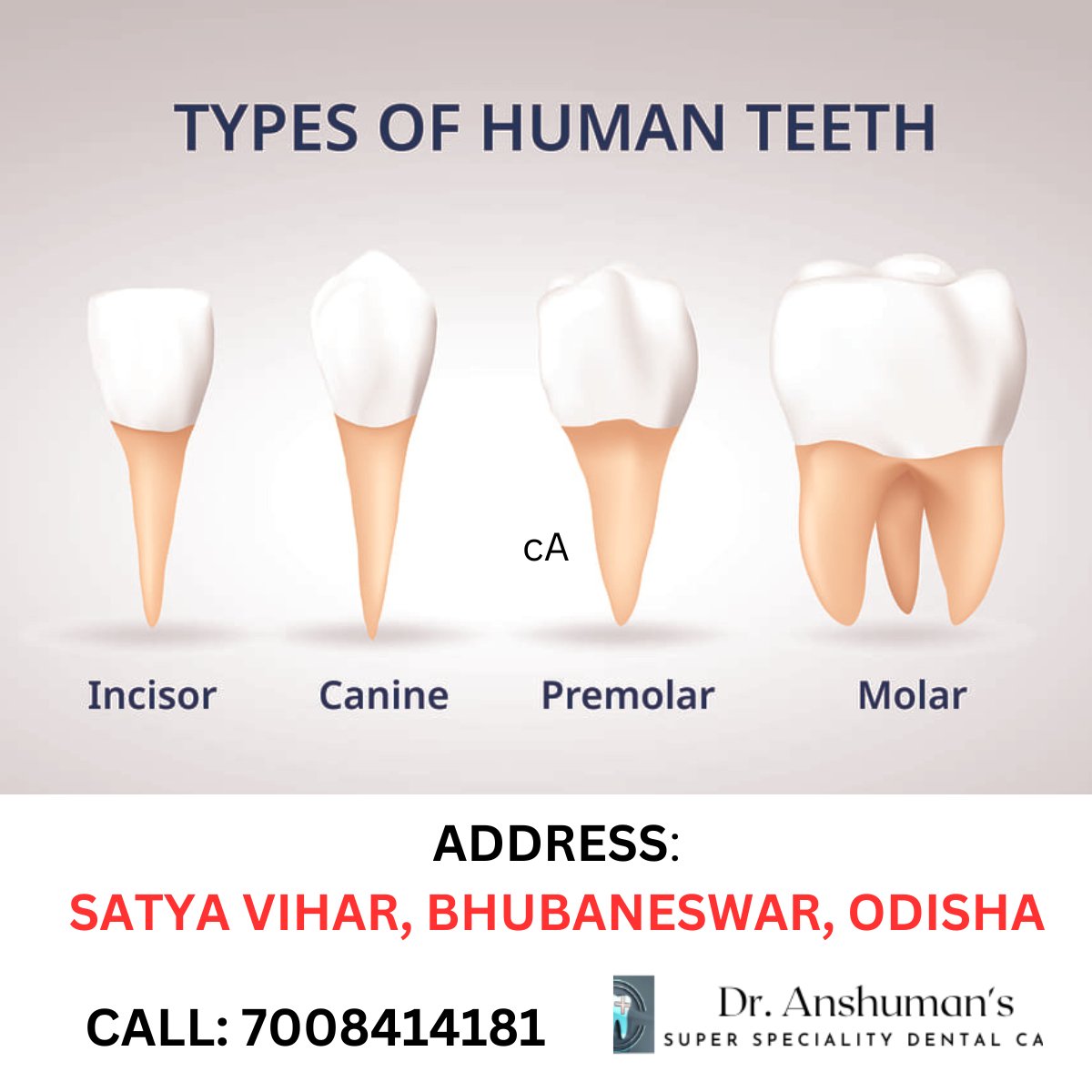 AnshumanSuper's tweet image. Dr. Anshuman's Super Speciality Dental Care, Satya Vihar, Bhubaneswar, Odisha, Call: 7008414181

#dentalcare #TypesofTeeth #dentist #dentistbhubaneswar #rootcanal #dentalhealth #satyavihar #Bhubaneswar #odisha