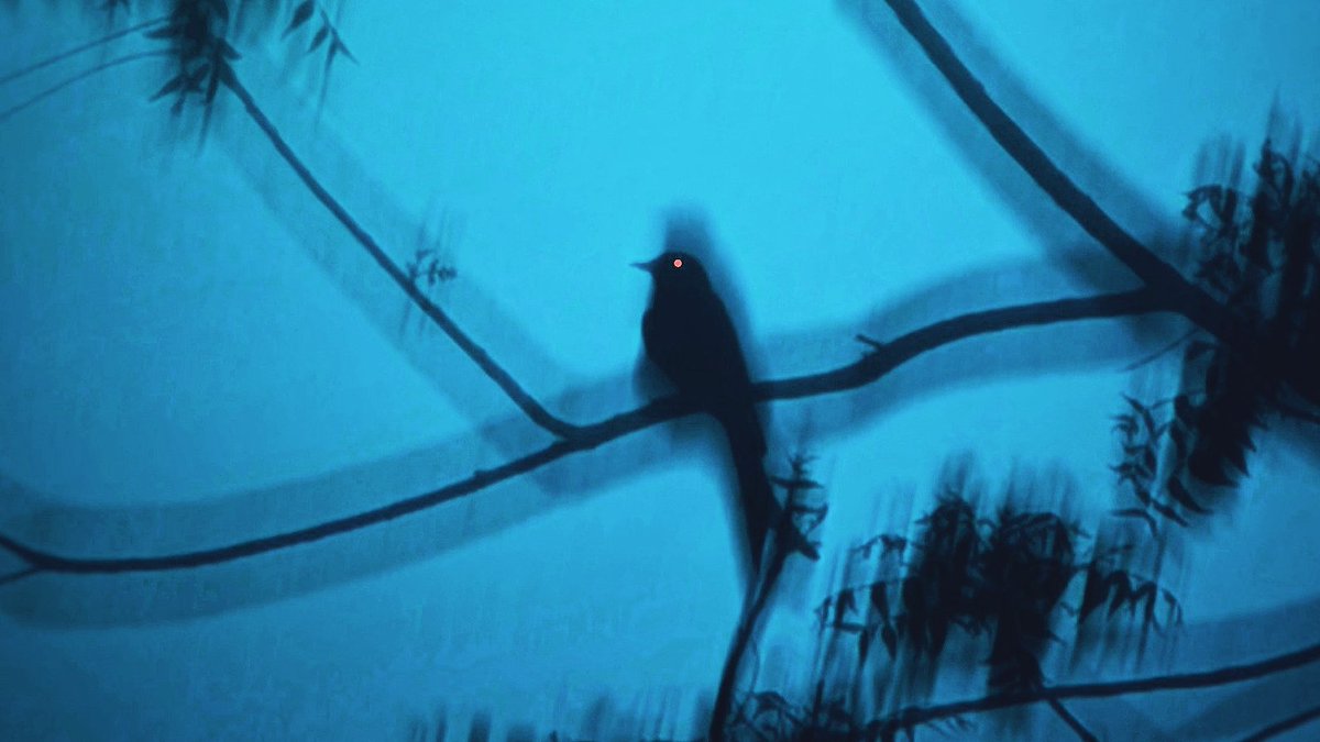 sereneObscurity's tweet photo. strange encounters https://t.co/2j0ETVgrg0