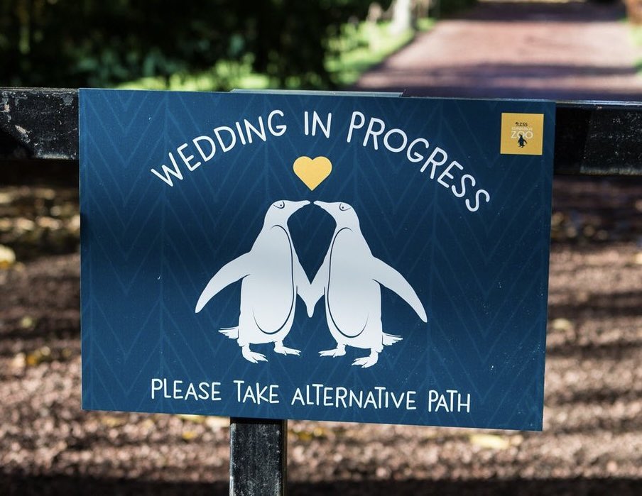 Sharon Hanna tweet media