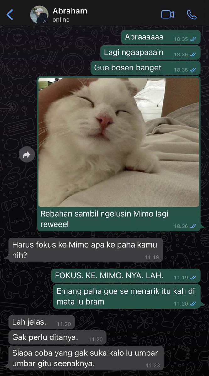 folkerims's tweet photo. kucing

from pelantur universe
🔞 nomin onetweet au https://t.co/ISas6tsYwX