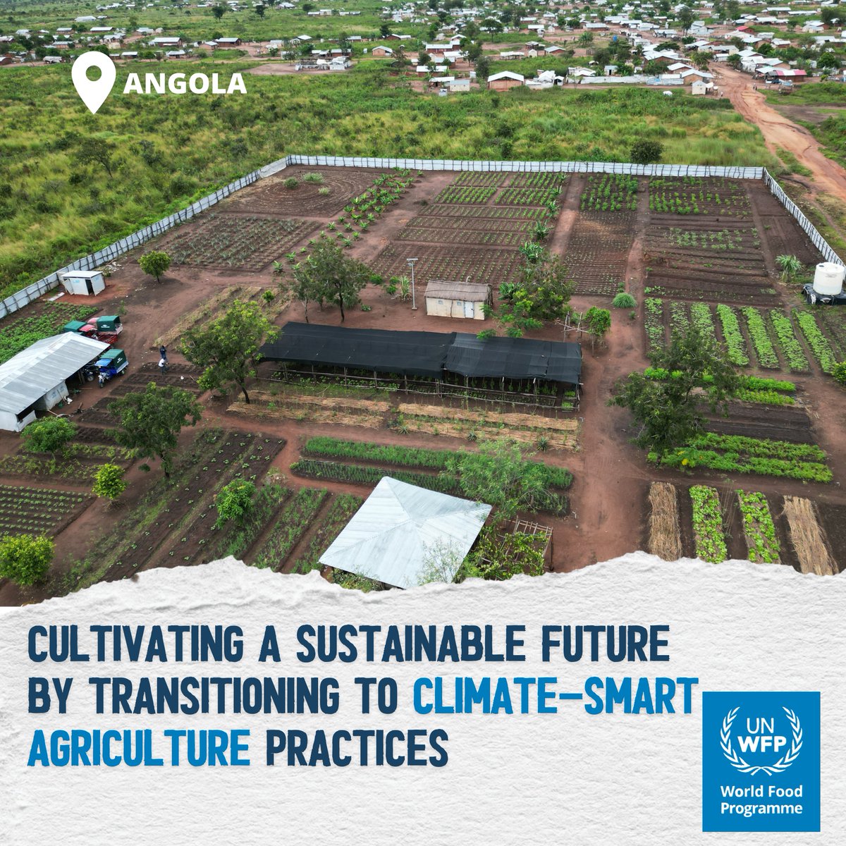 WFP southern Africa (@wfp_safrica) on Twitter photo Food insecure people are most affected by the #ClimateCrisis.
<a href="/WFP/">World Food Programme</a> is supporting #smallholder farmers to adapt climate-smart farming techniques and prepare for an unpredictable future. Food insecure people are most affected by the #ClimateCrisis.
<a href="/WFP/">World Food Programme</a> is supporting #smallholder farmers to adapt climate-smart farming techniques and prepare for an unpredictable future.