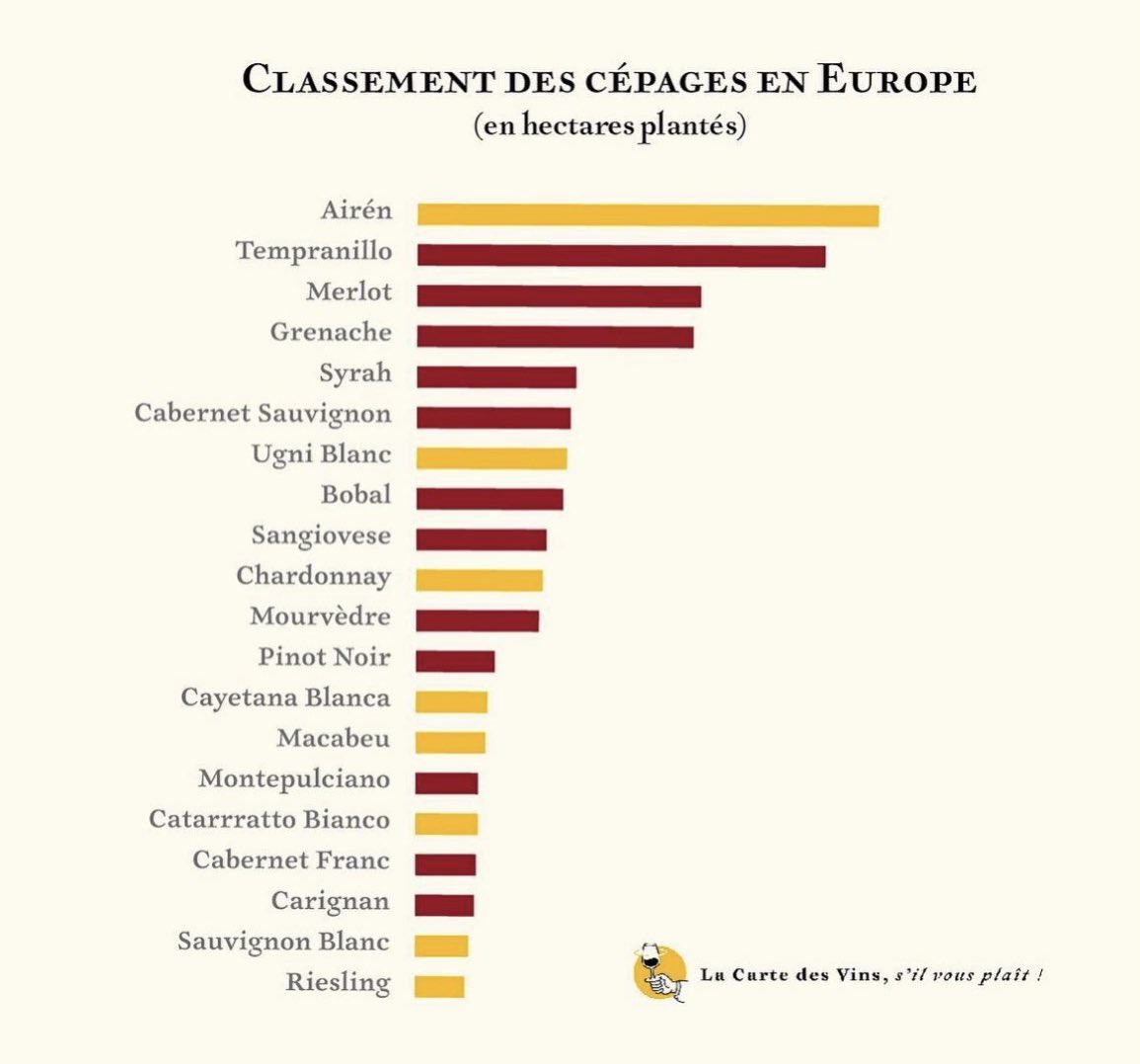 Las variedades de vid más plantadas en Europa #vino