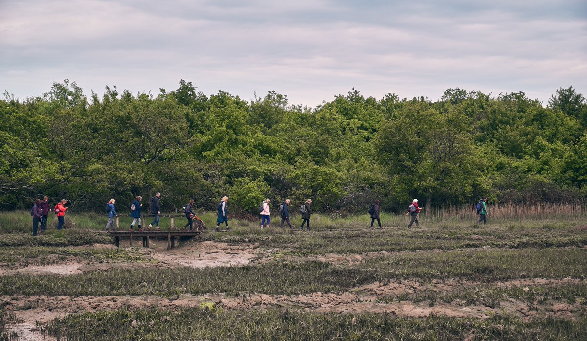 IWWalkingFest's tweet photo. Western Headland of Newtown Creek with @campwight🌿

Starting at @CampWight, looping around the western headland of Newtown Creek and back down to the start, via the Horse &amp; Groom pub.

📅 11 &amp; 15 October 
ℹ️ https://t.co/qqQNNv8sG6

#IsleofWight #IOW #UNESCO #AONB #IWWF23 https://t.co/c9Kujm6sPm