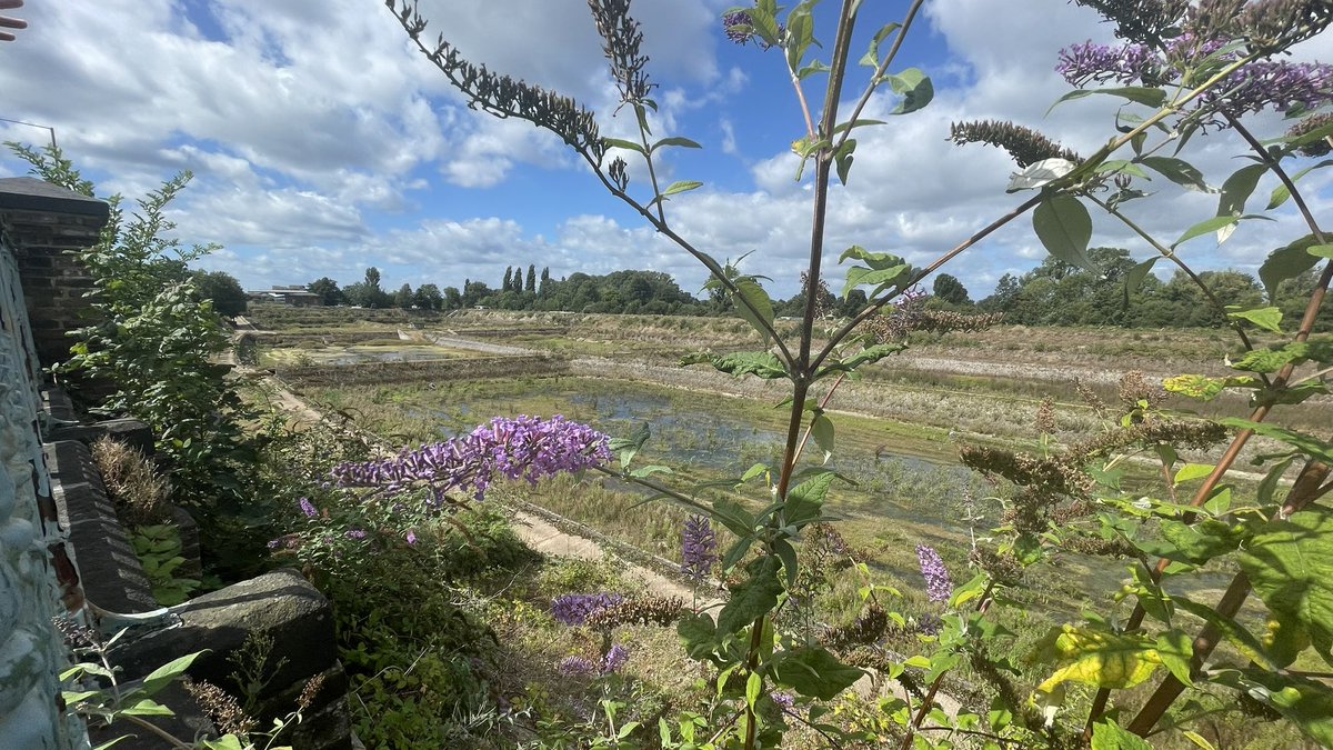 ❗️THE LAST WORKING GROUP FOR SEETHING WELLS TAKES PLACE TOMORROW❗️

📆 Tuesday 5th September @ 6PM in the main council chambers 

The main focus will be finalising the recommendations made to the Place Committee, to help secure a stronger and protected future for #seethingwells