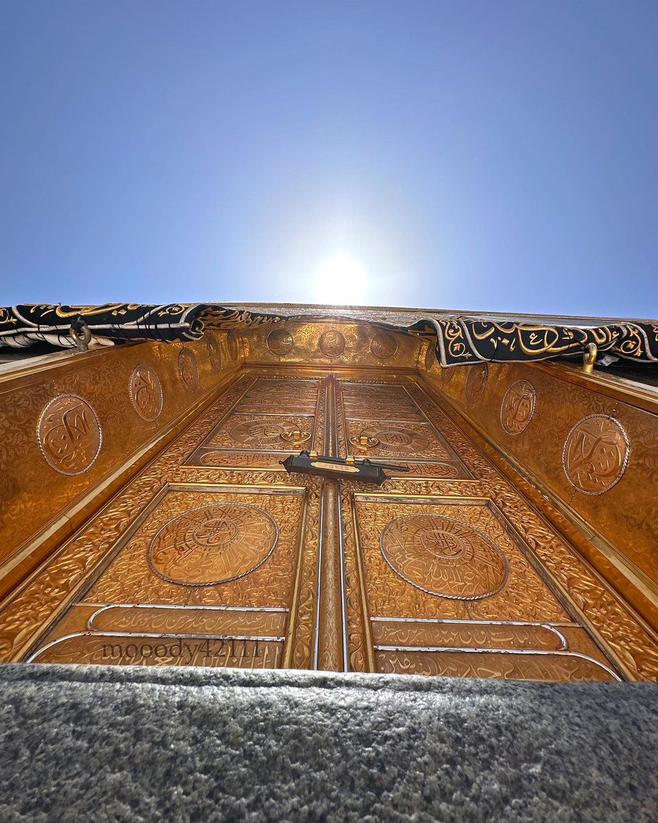 ‏صـــــد𝓈𝒶𝒹𝒶𝒻𝓈𝒽𝑒𝓇𝒾𝒻𝒻فـــ‏‏ tweet media