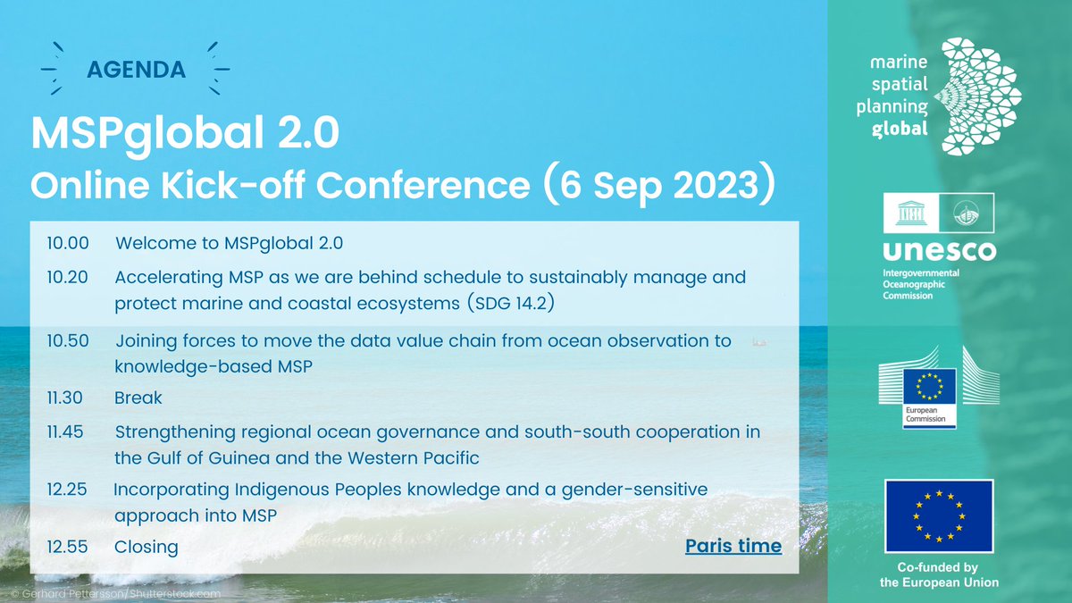 MSPglobal tweet media