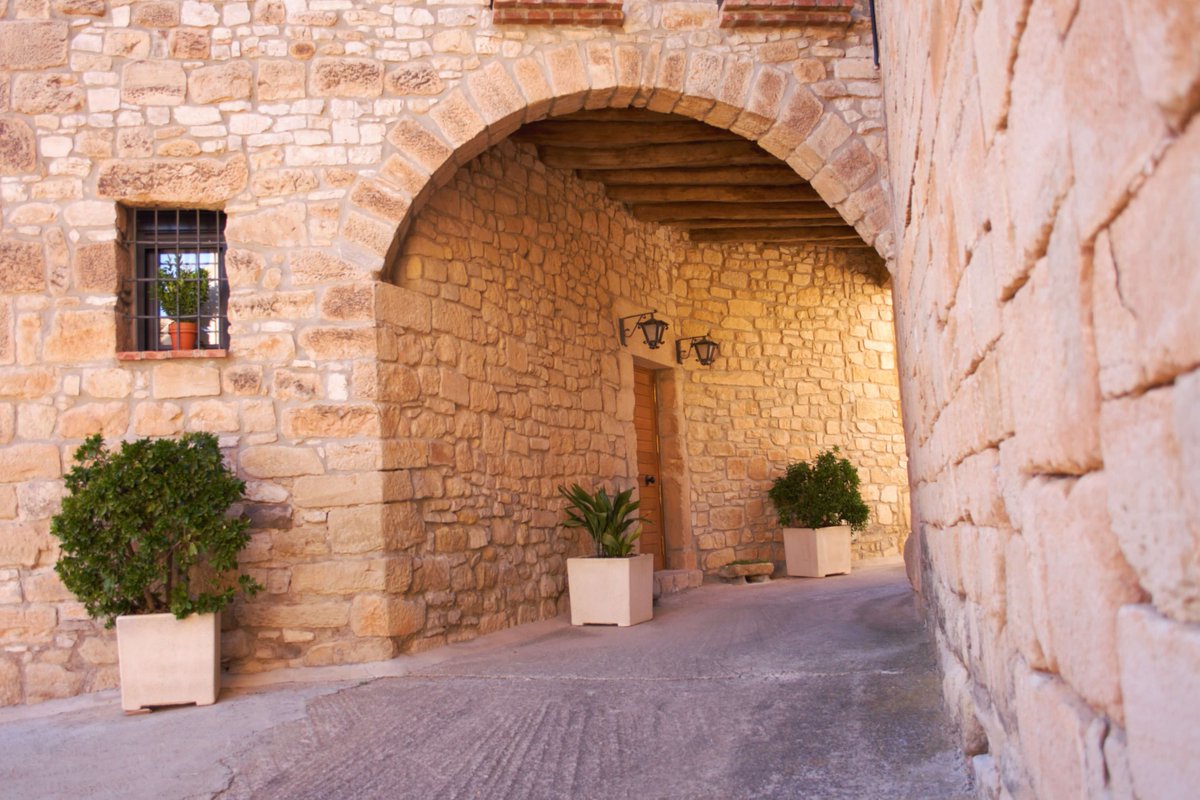 Viles Florides tweet media