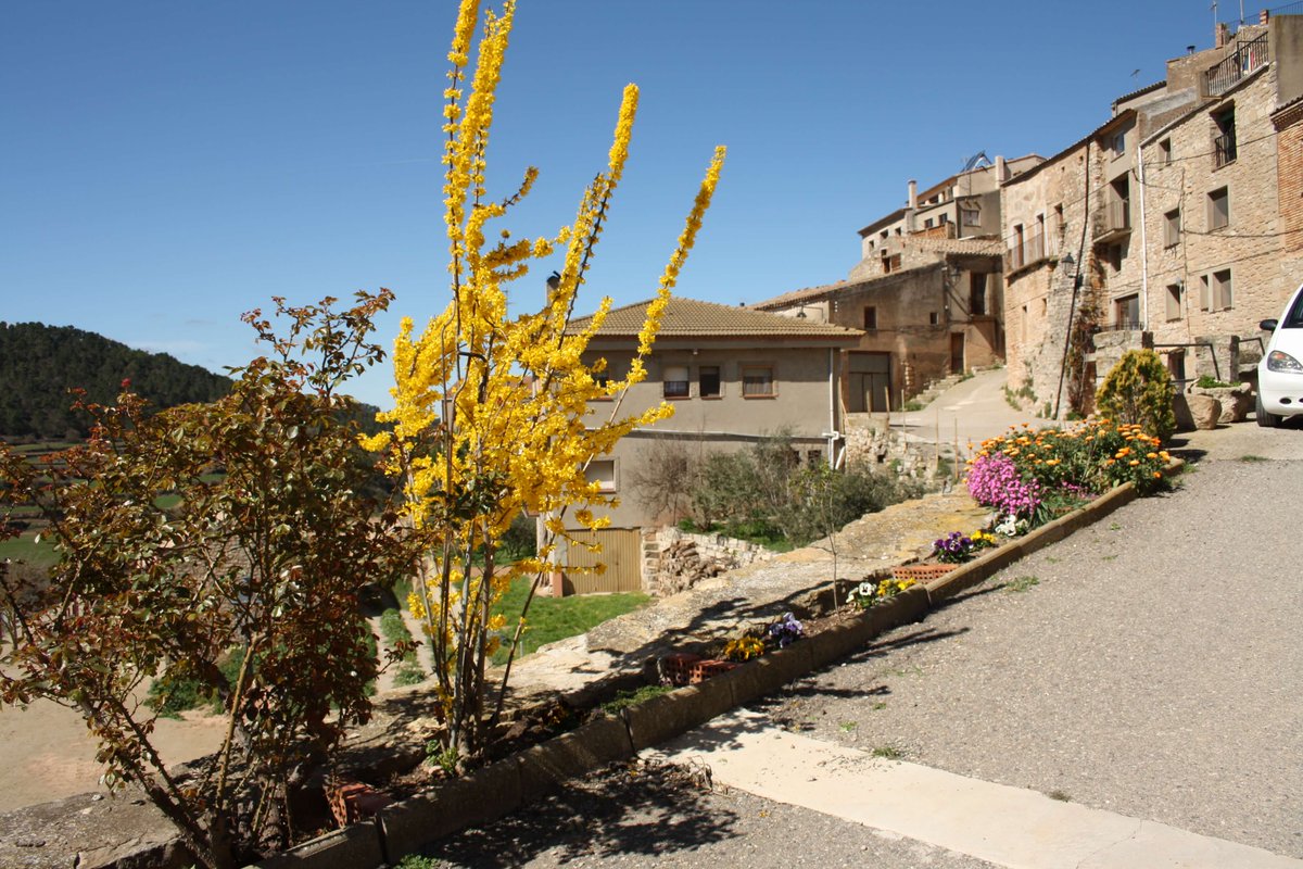 Viles Florides tweet media