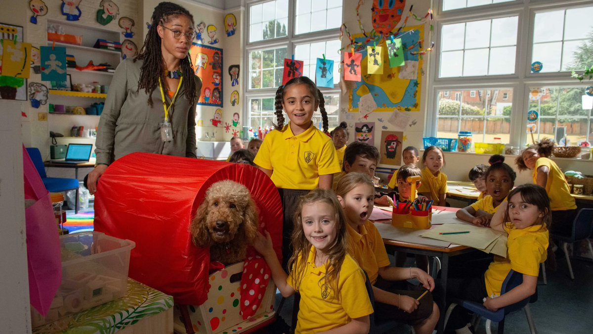 Waffle the Wonder Dog TV Show tweet media