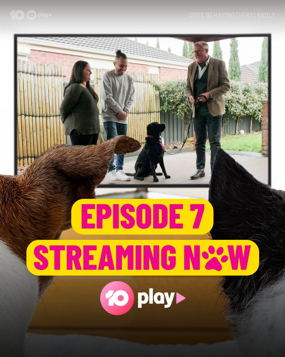 DogsBehavingAU's tweet photo. Watching Graeme train these dogs is such a... T.R.E.A.T. ๐ฌ
Stream Episode 7 of #DogsBehavingVeryBadlyAU on 10 Play
https://t.co/Ma0K8SvcTm
@GraemeDogfather @Ladyjmo
#GraemeHall #DogsofAustralia #AussieDogs #DogTrainingAustralia #DogTrainingTips #AussiePuppies #NaughtyDogs https://t.co/HmpmzMw50r