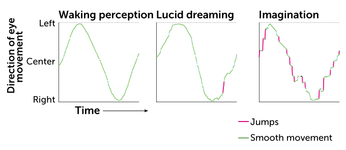 Here's what lucid dreamers might tell us about our sleeping minds sciencenews.org/article/lucid-… Lucid dreams are more like visual perception than mental imagery (imagination)
