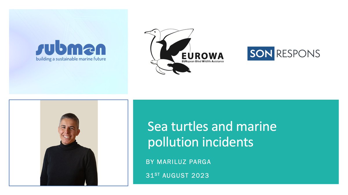 Last week Mariluz Parga from @submon_ shared her expertise on sea turtles and marine pollution incidents in our latest webinar. Did you miss it? Don't worry, you can watch the recording on our website🎦👇 eurowa.eu/resources/webi… #OiledWildlife #OurOcean