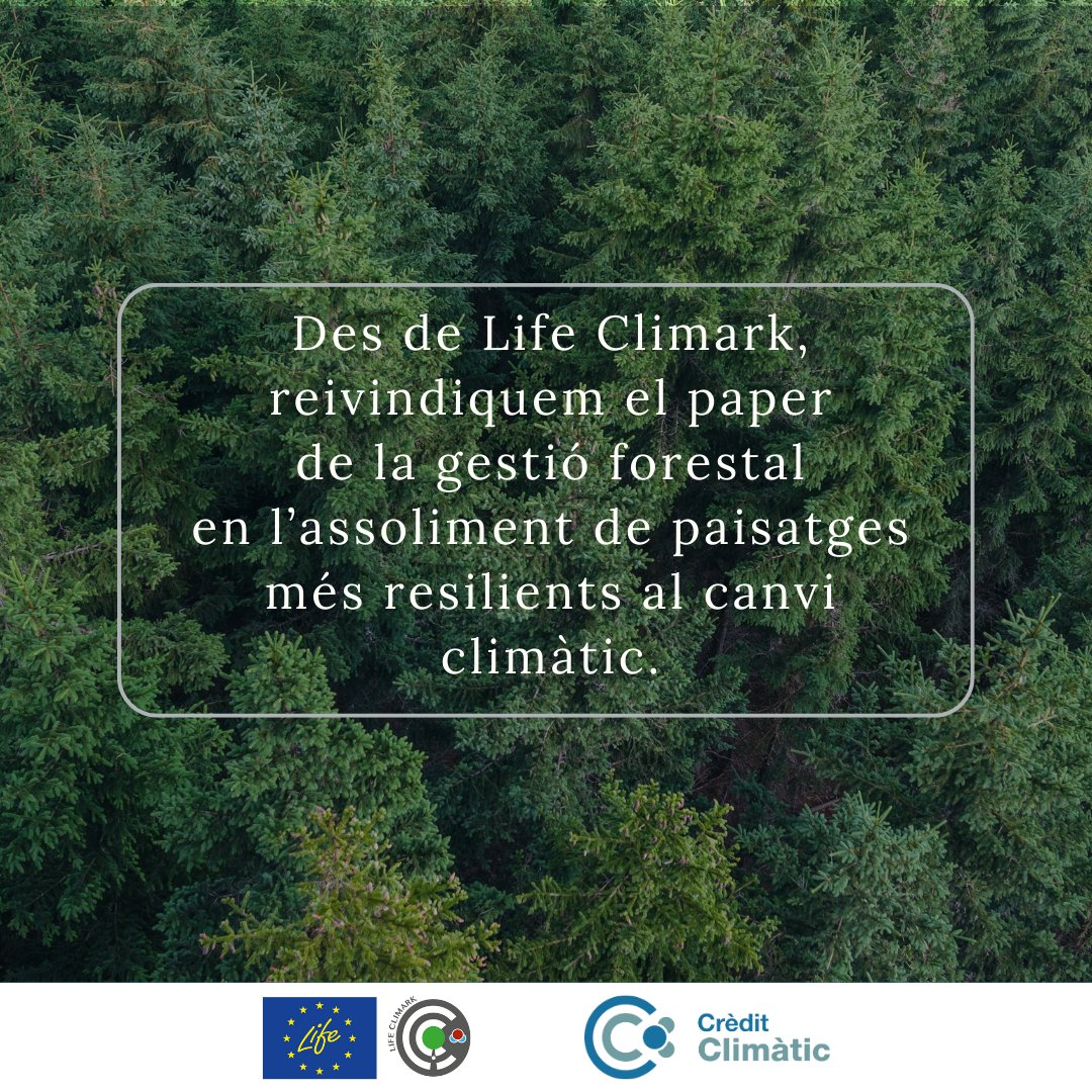 La gestió #forestal multifuncional contribueix a garantir el paper dels #boscos en la mitigació del Canvi Climàtic i és clau per a l'adaptació dels nostres paisatges al nou clima.
#boscos #GestióForestal #CanviClimàtic #LifeClimark #CrèditClimàtic
➡️ lifeclimark.eu