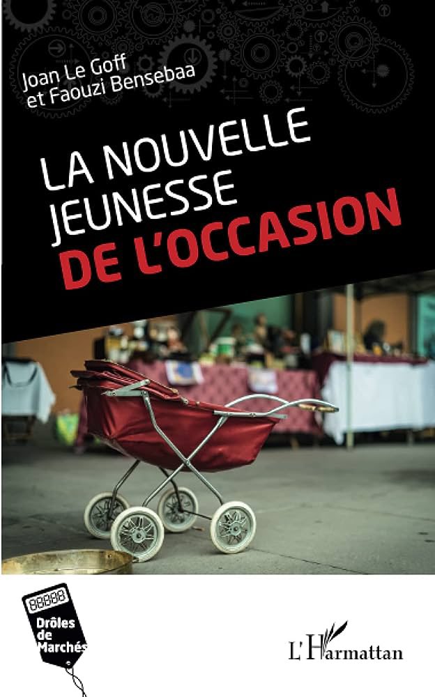 IQSOG's tweet photo. [🎥 @IQSOG | @XerfiCanal 📺 | 4 septembre 2023]

📚 Le "Old Washing" : un appât écologique des grands distributeurs — Joan Le Goff, @IAE_Paris_Est 

https://t.co/QvpNeSUppe https://t.co/EtH1QTrgHV