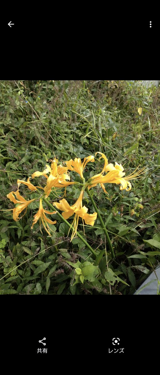 おやじ (@vb6ummzuxnmeeec) on Twitter photo 