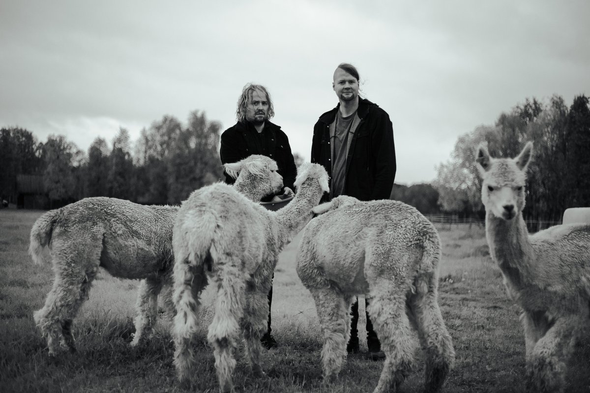 Du store......! Vi kommer tilbake til vestlandet. 

Bergen - <a href="/Hulen/">Hulen</a>  21.10 Billetter: shorturl.at/kxB67
Kopervik - Ovenpå 20.10 Bill: 
shorturl.at/IKVX9 

#rock #sokk #fåkk