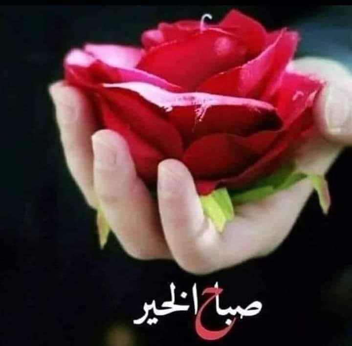 ٠
٠
٠
٠

سألني…..

كيف تشربِ قهوتك؟

قُلت له مُره…. مثل أيامي بِدونك💔

فقلت له:::

وأنت؟؟

قال:::

أنا قهوتي حُلوة جداً..

مثل أيامي معك ♥️
٠
        #صباحي_انت ♥️🎻