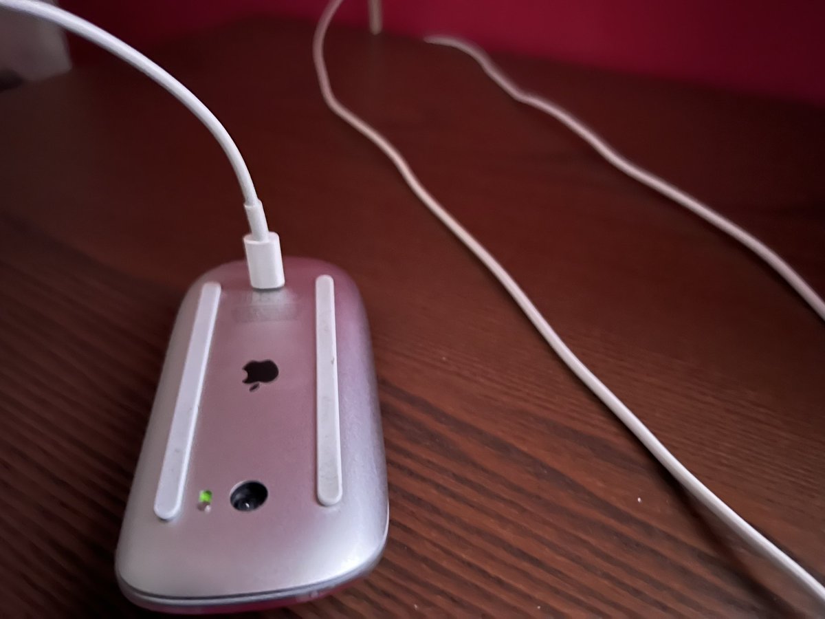 Giulio Brotini tweet media