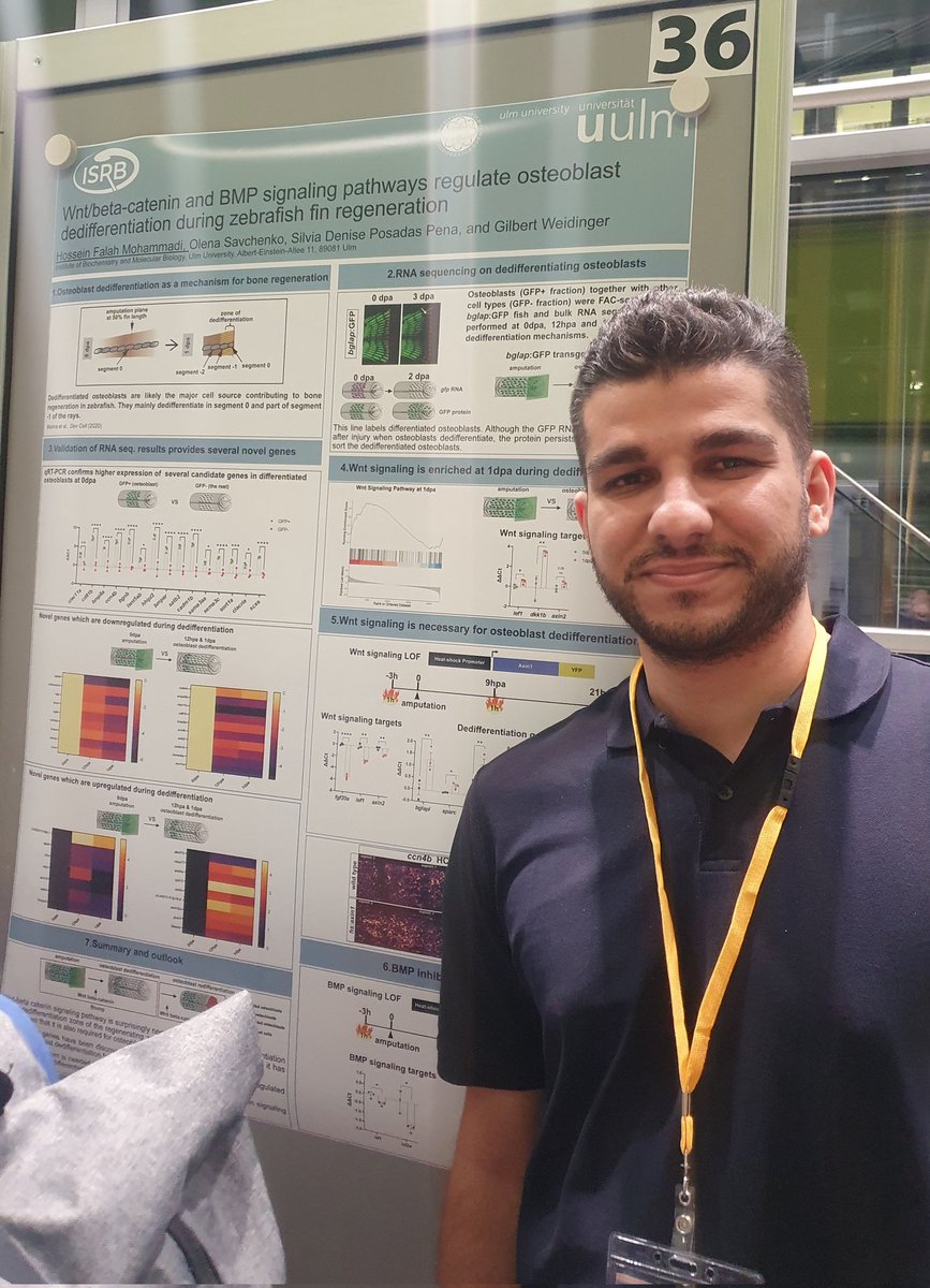 Had an amazing start yesterday at the #ISRB2023 meeting! Hope you had a look to the cool poster from our PhD student Hossein 🐟 Don't miss today our poster #P087 !