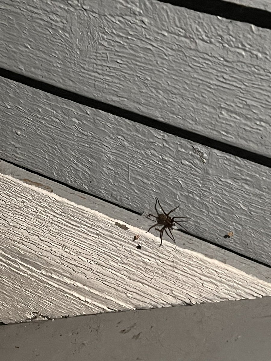_xoxoang's tweet photo. Idk who this motherfucker thinks he is but he needs to get THE FUCKKKKKKK off my porch

I'm low key *HIGH KEY* about to burn the whole house down https://t.co/pJDBvnW1kn