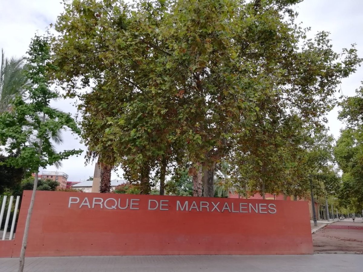 AjuntamentVLC's tweet image. 🆕 Una vegada passada l&apos;alerta meteorològica, hui tornem a obrir els #parcs i #jardins amb tanca 🌿, però demanem precaució ⚠️ per les zones inundades dins d&apos;estos espais i per possibles branques i fulles 🍃 caigudes pel temporal de pluges ⛈️. #DANA #ValènciaVerda