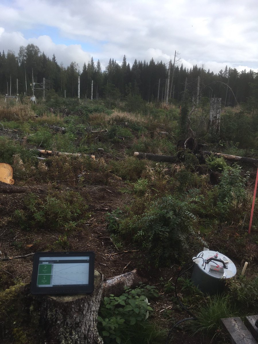 SoilsClimate's tweet photo. Last week was conference week in our group. @angela_soil participated in #WSC23 and Eva-Maria Roth in IBFRA conference (@BorealForest). We learned a lot during inspiring presentations, discussions, workshops and excursions and return with many new ideas. https://t.co/7UUpHMQztT
