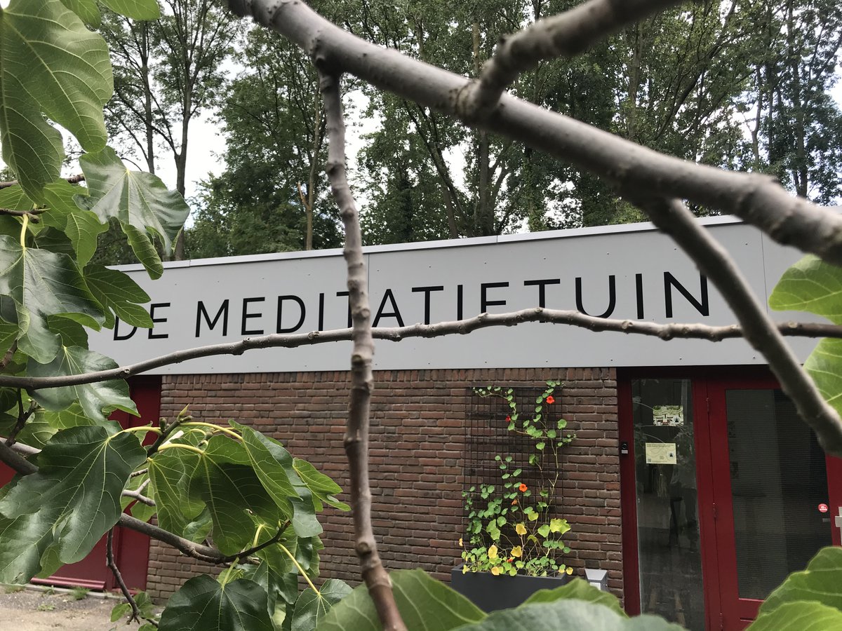 Susan Bögels tweet media