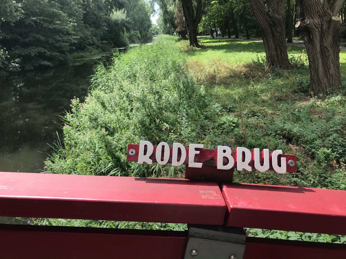 Susan Bögels tweet media