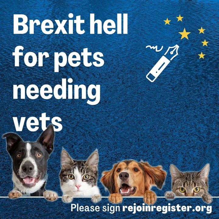 RejoinRegister's tweet image. They want us to rejoin but can't write! You'll need to sign at rejoinregister.org for them.

Details in comments on original post (click image if it's a share). #Brexit #BrexitShambles #RejoinEU