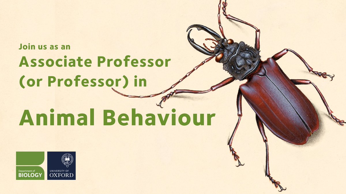 We have an exciting opportunity to join us as an Associate Professor (or Professor) in Animal Behaviour!

The post is in partnership with @StHughsCollege and the deadline is 2 October ⏩ bit.ly/3L7CDSx