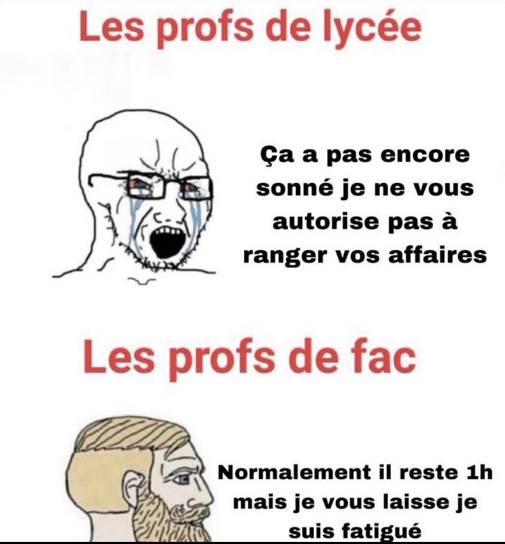 szifrmdao's tweet photo. Ptdrrrrr c’est une singerie comment c’est trop réel https://t.co/xtRI2Cb0Vz
