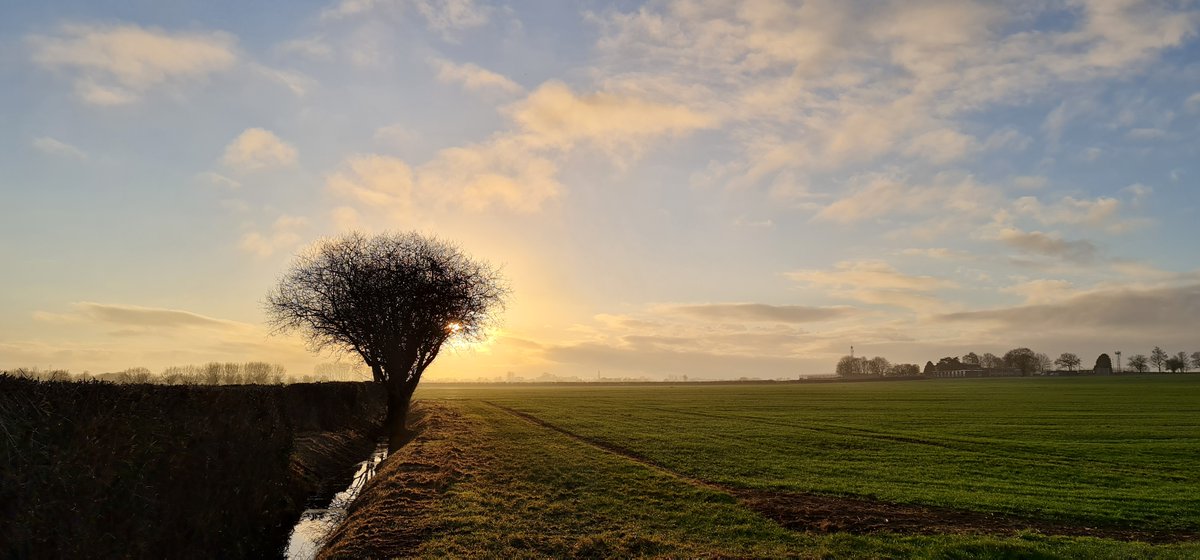 The RPA will open applications for the Sustainable Farming Incentive from 18th September, with farmers and land managers invited to register their interest from 30th August. 
#farming #landandfarms #landmanagement #agriculture #hedgerows #defra #ruralpaymentsagency #ruraladvisors