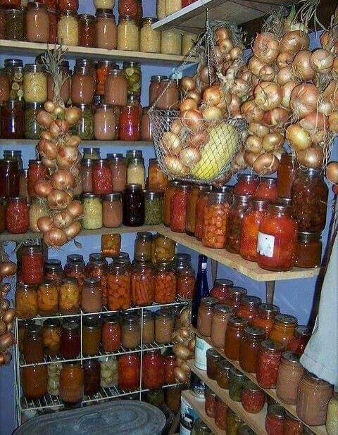 La conservación de alimentos, algo que se debería enseñar en la escuela...