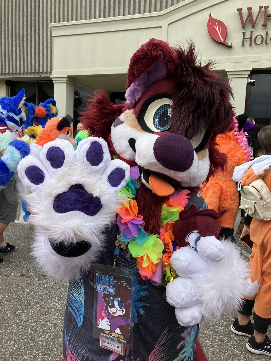 saveraedae's tweet image. Thread of my pictures from #MFM2023!! (#MephitFurMeet) This year was a lot of fun! #fursuit #furry