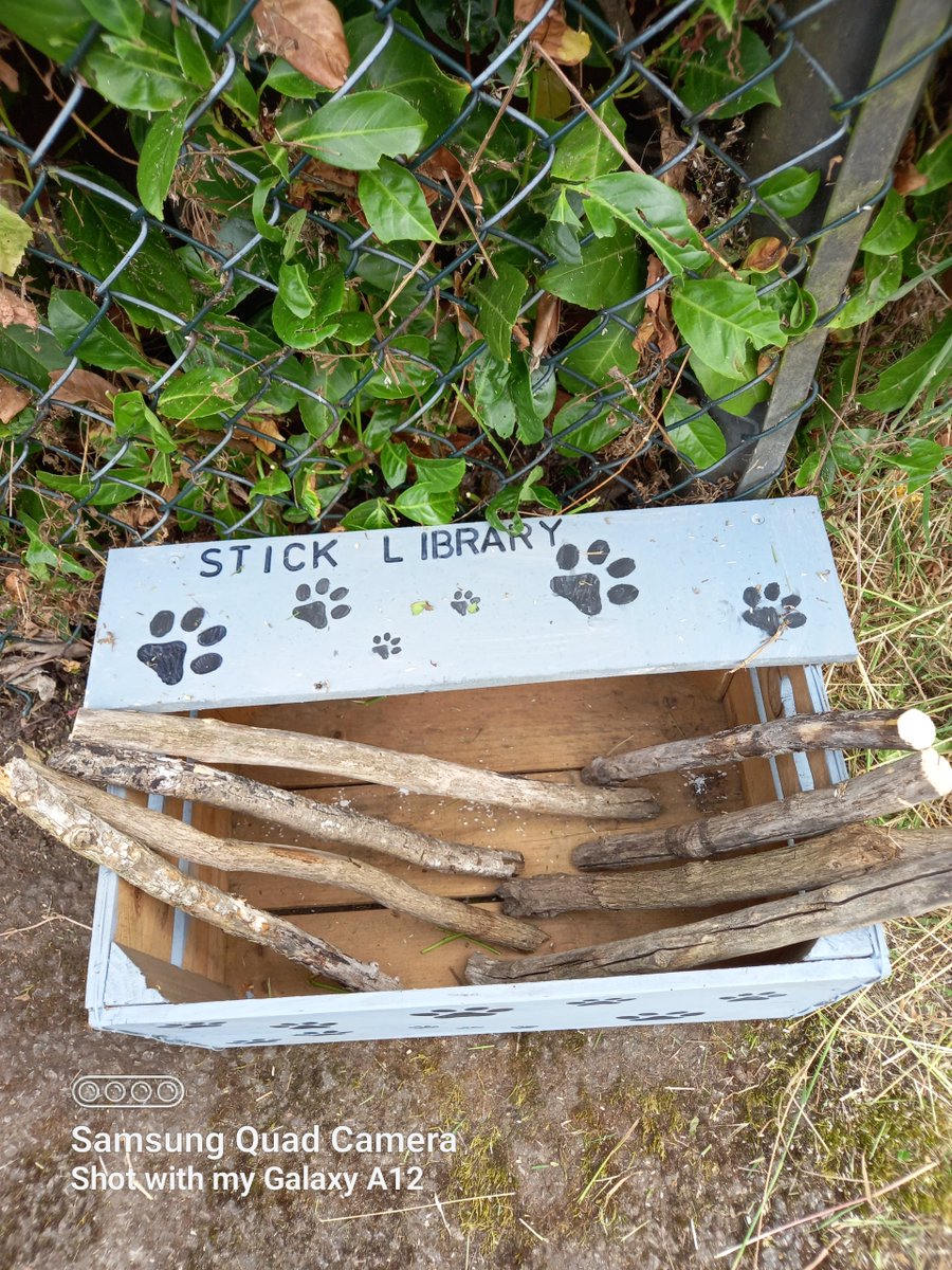 FOSPNewEltham's tweet photo. Bits of fun in Southwood Park at little or no cost https://t.co/hivU8UDF0W