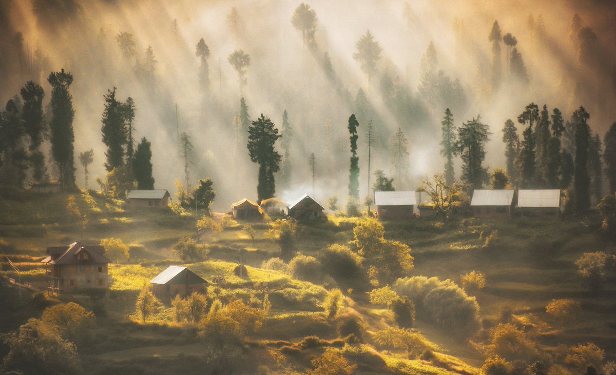 Mir Auqib tweet media