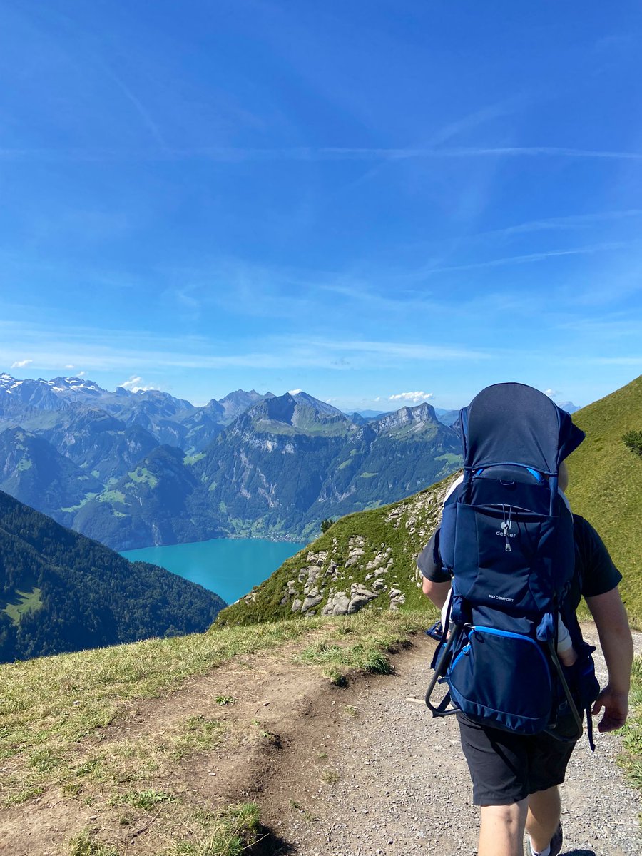 Suz Everingham tweet media