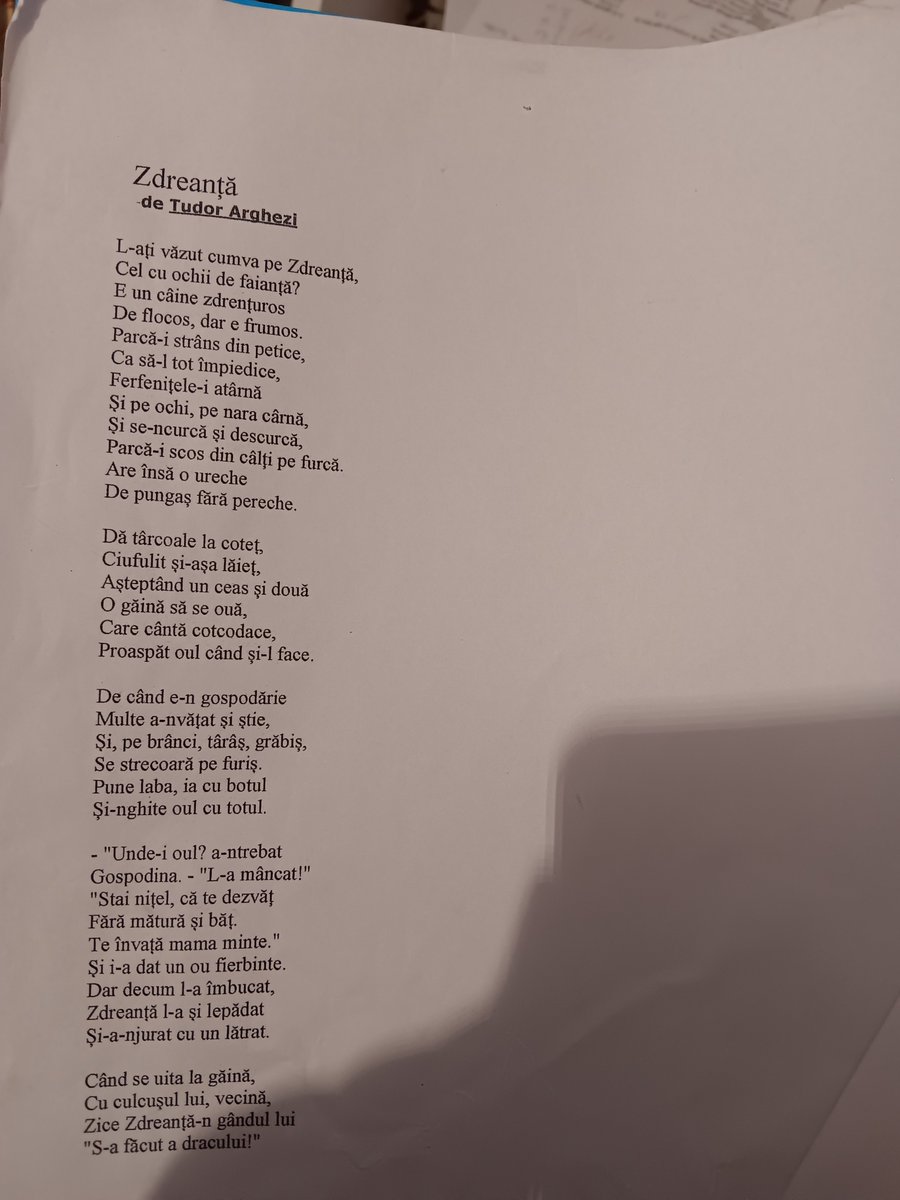 berbecutdecamp's tweet photo. Zise Tudorica... https://t.co/kpr7JD8xsA