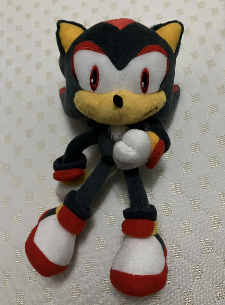 PkmnProto's tweet photo. Tomy unreleased shadow prototype plush https://t.co/OkgggnhpYy
