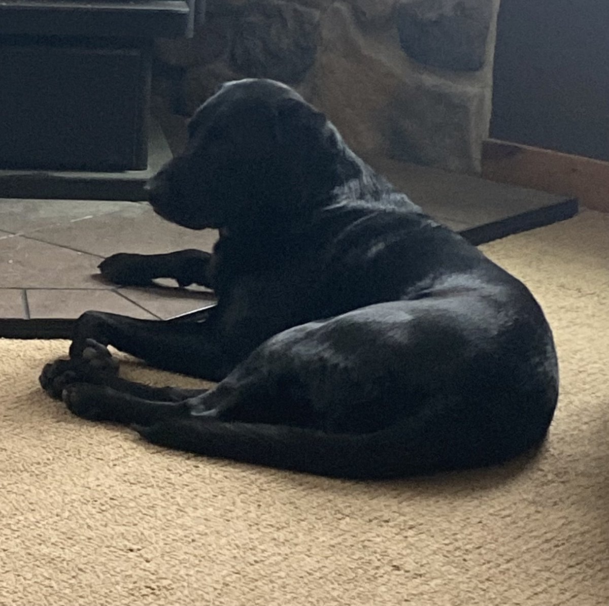 Don Probst tweet media